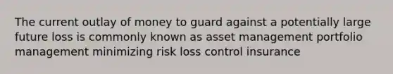 The current outlay of money to guard against a potentially large future loss is commonly known as asset management portfolio management minimizing risk loss control insurance