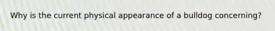 Why is the current physical appearance of a bulldog concerning?