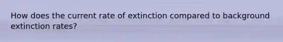 How does the current rate of extinction compared to background extinction rates?