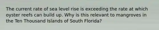 The current rate of sea level rise is exceeding the rate at which oyster reefs can build up. Why is this relevant to mangroves in the Ten Thousand Islands of South Florida?