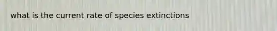 what is the current rate of species extinctions