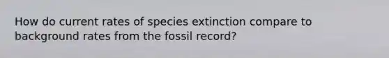 How do current rates of species extinction compare to background rates from the fossil record?