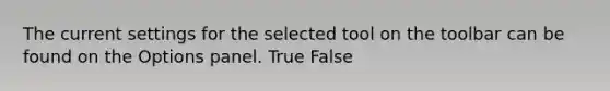 The current settings for the selected tool on the toolbar can be found on the Options panel. True False