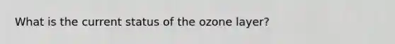 What is the current status of the ozone layer?