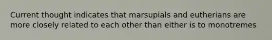 Current thought indicates that marsupials and eutherians are more closely related to each other than either is to monotremes