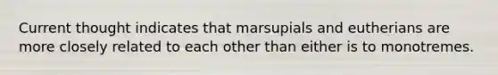 Current thought indicates that marsupials and eutherians are more closely related to each other than either is to monotremes.