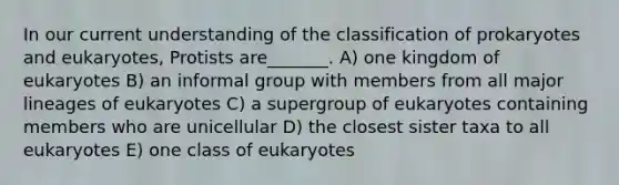 In our current understanding of the classification of prokaryotes and eukaryotes, Protists are_______. A) one kingdom of eukaryotes B) an informal group with members from all major lineages of eukaryotes C) a supergroup of eukaryotes containing members who are unicellular D) the closest sister taxa to all eukaryotes E) one class of eukaryotes