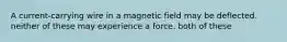 A current-carrying wire in a magnetic field may be deflected. neither of these may experience a force. both of these