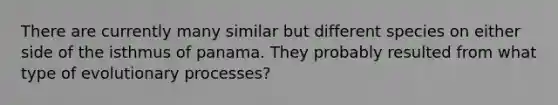 There are currently many similar but different species on either side of the isthmus of panama. They probably resulted from what type of evolutionary processes?