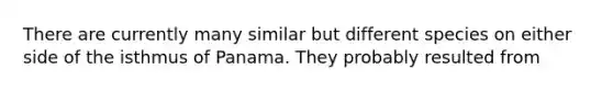 There are currently many similar but different species on either side of the isthmus of Panama. They probably resulted from