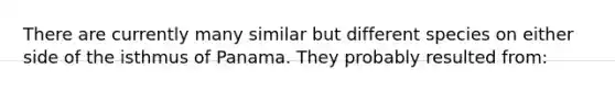 There are currently many similar but different species on either side of the isthmus of Panama. They probably resulted from: