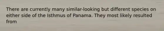 There are currently many similar-looking but different species on either side of the Isthmus of Panama. They most likely resulted from