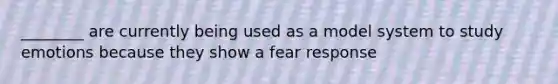 ________ are currently being used as a model system to study emotions because they show a fear response