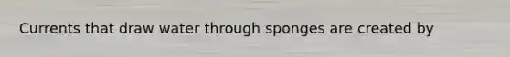 Currents that draw water through sponges are created by