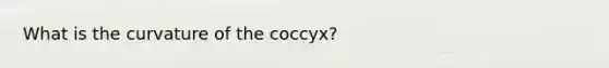 What is the curvature of the coccyx?