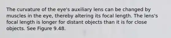 The curvature of the eye's auxiliary lens can be changed by muscles in the eye, thereby altering its focal length. The lens's focal length is longer for distant objects than it is for close objects. See Figure 9.48.