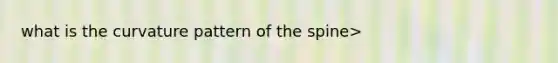 what is the curvature pattern of the spine>