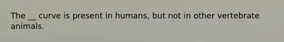 The __ curve is present in humans, but not in other vertebrate animals.