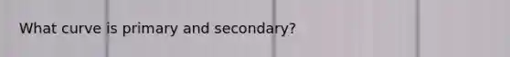 What curve is primary and secondary?