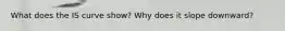 What does the IS curve show? Why does it slope downward?