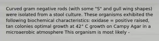 Curved gram negative rods (with some "S" and gull wing shapes) were isolated from a stool culture. These organisms exhibited the following biochemical characteristics: oxidase = positive raised, tan colonies optimal growth at 42° C growth on Campy Agar in a microaerobic atmosphere This organism is most likely -