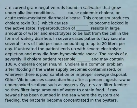 are curved gram negative-rods found in saltwater that grow under alkaline conditions. ______cause epidemic cholera, an acute toxin-mediated diarrheal disease. This organism produces cholera toxin (CT), which causes __________ to become locked in the active state. Hyperproduction of _______ results in large amounts of water and electrolytes to be lost from the cell in the form of watery diarrhea. In severe cases patients may secrete several liters of fluid per hour amounting to up to 20 liters per day. If untreated the patient ends up with severe electrolyte depletion and may die from hypovolemic shock. The stools of a severely ill cholera patient resemble _______ and may contain 108 V. cholerae organisms/ml. Cholera is a common problem after flooding if the water supply becomes contaminated, or wherever there is poor sanitation or improper sewage disposal. Other Vibrio species cause diarrhea after a person ingests raw or undercooked seafood such as oysters. Oysters are filter feeders so they filter large amounts of water to obtain food. If raw sewage has been dumped in the sea where the oysters are feeding, the bacteria become concentrated in the oysters.