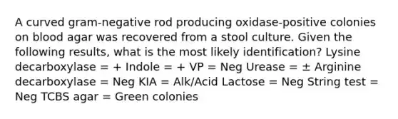 A curved gram-negative rod producing oxidase-positive colonies on blood agar was recovered from a stool culture. Given the following results, what is the most likely identification? Lysine decarboxylase = + Indole = + VP = Neg Urease = ± Arginine decarboxylase = Neg KIA = Alk/Acid Lactose = Neg String test = Neg TCBS agar = Green colonies