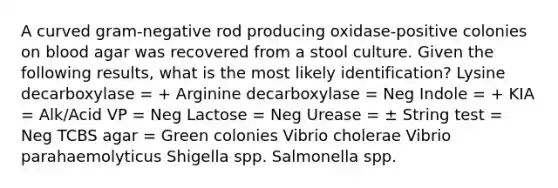 A curved gram-negative rod producing oxidase-positive colonies on blood agar was recovered from a stool culture. Given the following results, what is the most likely identification? Lysine decarboxylase = + Arginine decarboxylase = Neg Indole = + KIA = Alk/Acid VP = Neg Lactose = Neg Urease = ± String test = Neg TCBS agar = Green colonies Vibrio cholerae Vibrio parahaemolyticus Shigella spp. Salmonella spp.