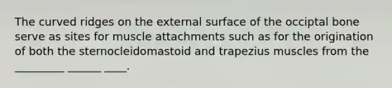 The curved ridges on the external surface of the occiptal bone serve as sites for muscle attachments such as for the origination of both the sternocleidomastoid and trapezius muscles from the _________ ______ ____.