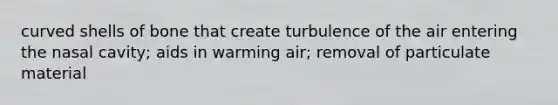 curved shells of bone that create turbulence of the air entering the nasal cavity; aids in warming air; removal of particulate material