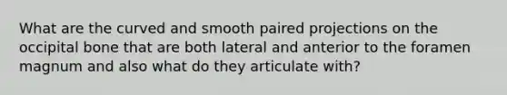 What are the curved and smooth paired projections on the occipital bone that are both lateral and anterior to the foramen magnum and also what do they articulate with?