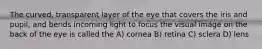 The curved, transparent layer of the eye that covers the iris and pupil, and bends incoming light to focus the visual image on the back of the eye is called the A) cornea B) retina C) sclera D) lens