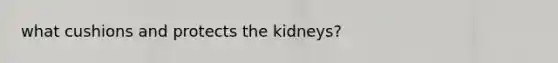 what cushions and protects the kidneys?