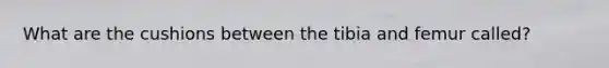 What are the cushions between the tibia and femur called?