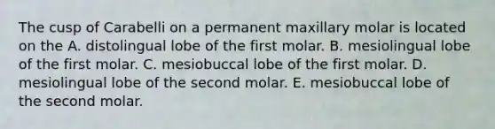 The cusp of Carabelli on a permanent maxillary molar is located on the A. distolingual lobe of the first molar. B. mesiolingual lobe of the first molar. C. mesiobuccal lobe of the first molar. D. mesiolingual lobe of the second molar. E. mesiobuccal lobe of the second molar.