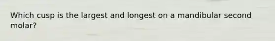 Which cusp is the largest and longest on a mandibular second molar?