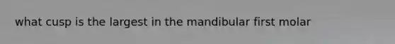 what cusp is the largest in the mandibular first molar