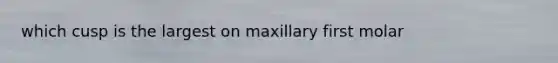 which cusp is the largest on maxillary first molar