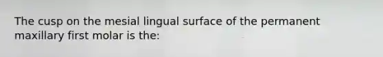 The cusp on the mesial lingual surface of the permanent maxillary first molar is the: