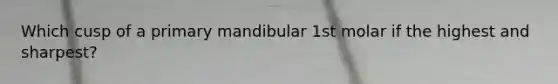 Which cusp of a primary mandibular 1st molar if the highest and sharpest?