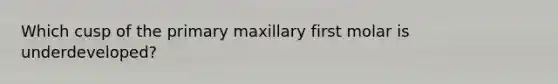 Which cusp of the primary maxillary first molar is underdeveloped?