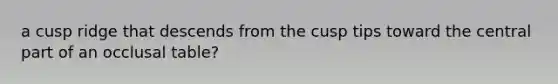 a cusp ridge that descends from the cusp tips toward the central part of an occlusal table?