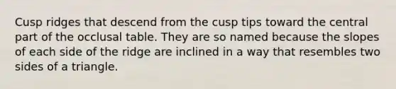 Cusp ridges that descend from the cusp tips toward the central part of the occlusal table. They are so named because the slopes of each side of the ridge are inclined in a way that resembles two sides of a triangle.