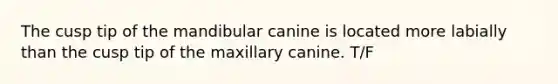 The cusp tip of the mandibular canine is located more labially than the cusp tip of the maxillary canine. T/F