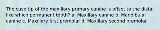 The cusp tip of the maxillary primary canine is offset to the distal like which permanent tooth? a. Maxillary canine b. Mandibular canine c. Maxillary first premolar d. Maxillary second premolar