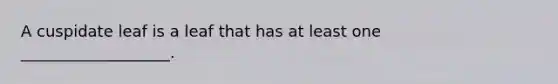 A cuspidate leaf is a leaf that has at least one ___________________.
