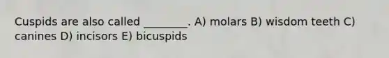 Cuspids are also called ________. A) molars B) wisdom teeth C) canines D) incisors E) bicuspids