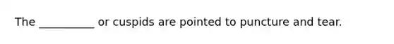 The __________ or cuspids are pointed to puncture and tear.