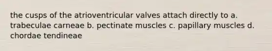 the cusps of the atrioventricular valves attach directly to a. trabeculae carneae b. pectinate muscles c. papillary muscles d. chordae tendineae