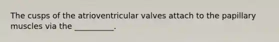 The cusps of the atrioventricular valves attach to the papillary muscles via the __________.